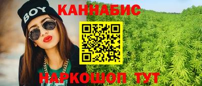индика Будённовск