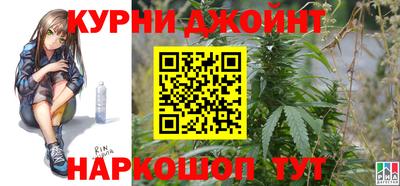 индика Будённовск