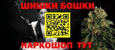 индика Будённовск