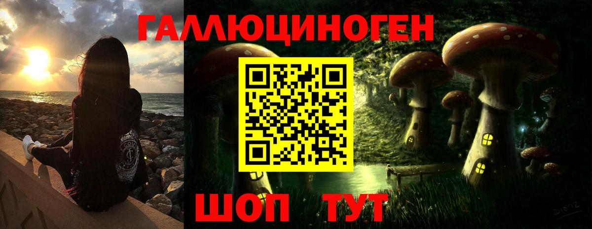 Псилоцибиновые грибы прущие грибы Тында
